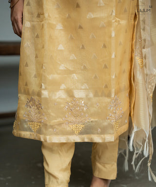 Casual wear tissue silk set for women