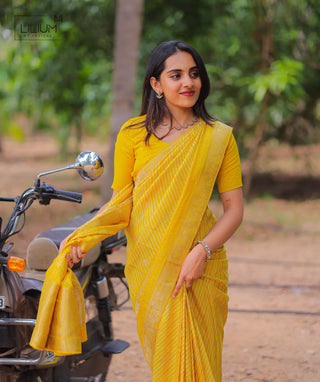 Banaras Silk Saree for Festive Wear
