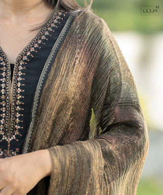 Elegant Linen Sequin Ethnic Wear