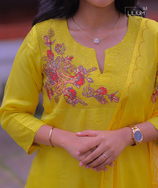 Elegant Party Wear Anarkali