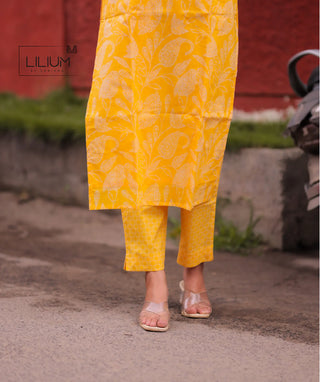 Stylish Zeyora Dawn Co-ords Outfit