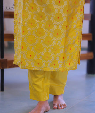 Festive Banaras Silk Dress with Dupatta