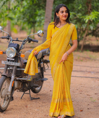 Golden Reverie Banaras Silk Saree