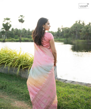 Party Wear Zari Saree