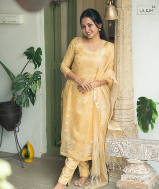Regal Glow tissue silk 3-piece women’s set