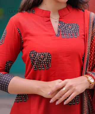 Close-up of cotton kurti set with lining details