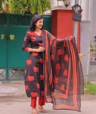 Elegant cotton ethnic set for women casual wear