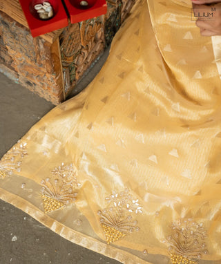 Regal Glow silk casual wear outfit for women