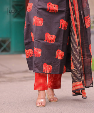 Royal Tusker kurta with flared silhouette